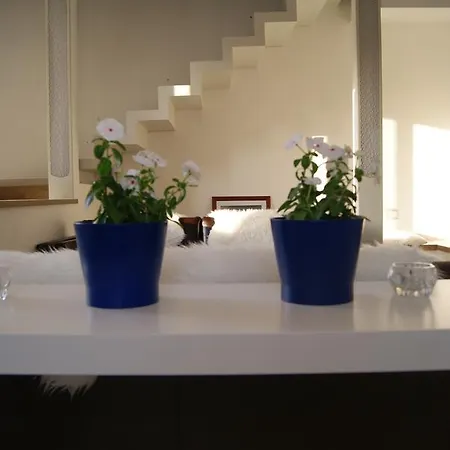 Alojamento de Acomodação e Pequeno-almoço Bora *