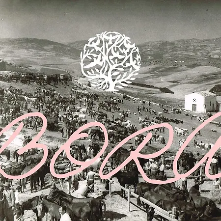 Bora * Troia
